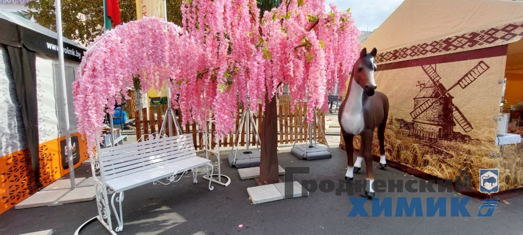 Областные «Дожинки» 2023 года прошли в Зельве